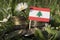 Lebanese flag with stack of money coins with grass