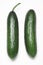 Lebanese pickling cucumbers