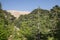 Lebanon cedar. The Cedars of God located at Bsharri, are one of the last vestiges of the extensive forests of the Lebanon cedar