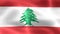 Lebanon flag - realistic waving fabric flag