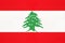 Lebanon national fabric flag, textile background. Lebanese state official sign