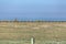 Leca da Palmeira / Porto / Portugal - 10 04 2018: View of man running on pedestrian wooden walkway, seagull on blue sky as