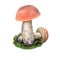 Leccinum Aurantiacum mushroom digital art illustration. Boletus Aurantiacus watercolor print. Krombholzia aurantiaca