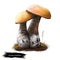 Leccinum aurantiacum or red capped scaber stalk mushroom closeup digital art illustration. Boletus has yellow cap and grayish stem