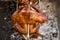 Lechon manok, a Filipino spit-roasted chicken dish. As seen being cooked in an oven at a roadside restaurant