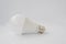 LED bulb 120 V 12 Watt E27 on white background.