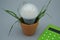 A led bulb with green grass inside a vase and a calculator. Clean energy concept