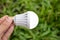 LED Bulb with lighting