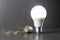 LED bulb stands next to a broken incandescent lamp