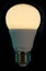 LED Economy Light Bulb