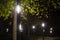 LED flashlights in the dark of the park. Modern street lighting