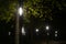 LED flashlights in the dark of the park. Modern street lighting