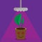 Led full spectrum grow light ultraviolet Phyto lamp bulb on potted house plant. Vector illustration of special led light for