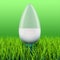 LED lamp, saving bulb on the green grass. 3D rendering