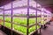 Led plant growth lamp Vertical agriculture vertical farm Plant factory