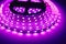 Led strip purple light roll