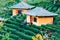 Lee Wine or LeeWine Lodging houses among the tea plantation on the hill slope at Ban Rak Thai Thai loving village, Mae Hong Son