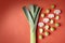 Leek, brussels sprouts, cultured mushrooms on red background. Seasonal vegetables in modern style pattern