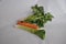 Leek carrots and celery on a white background, the basic ingredients for a good soup