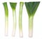 Leek of different shape