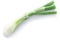 Leek  or green spring onion stem with bulb isolated w clipping paths, top view