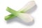 Leek or green spring  onion stems with bulb crossed isolated w clipping paths, top view