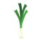 Leek or pearl is a biennial herbaceous plant of the Onion subfamily. A tasty and healthy plant that is eaten.