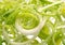 Leek vegetable closeup background