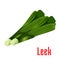 Leek vegetable plant icon