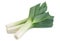 Leek vegetable on white