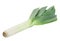 Leek vegetable on white