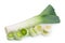 Leek vegetable on white