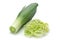 Leek vegetable on white