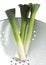 LEEKS allium porrum IN A DRAINING RACK