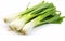 Leeks Snapshot on White Background