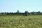 Leerdam, the Netherlands June1,2021:Grassland with tractor mower and rake, grass ready to be ensiled.Dutch farmers race