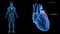 Left Atrium of the Heart with Human Body