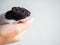 A left hand catch black and white hamster on white background