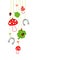 Left Hanging Fly Agaric Shamrocks Horseshoe And Ladybug White