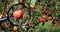 In the left part of the photo, one apple magnified with a magnifying glass, in the right part of the photo, several apples on a