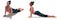 Left Profile and Front Three-quarters Poses of a Woman in Yoga Upward Facing Dog
