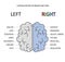 Left and right brain functions info.