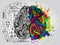 Left and right human brain. Creative half and logic half of human mind. Vector illustration.