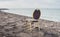 Left seat on a tarmac pier at the sea