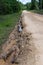 Left side of dirt road washed out