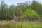 Leftovers of stone block building in summer green meadow