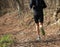 Leg of athlete runner from behind during racing on the mountain