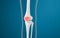 Leg bone and knee lesions, 3d rendering