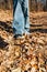 Leg of a girl in a sneaker and jeans, against the background of autumn yellow fallen leaves on the ground