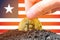 Legalization of bitcoin in Liberia. Planting bitcoin in the ground on the background of the flag of Liberia. Liberia -